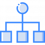 Organização e funcionamento